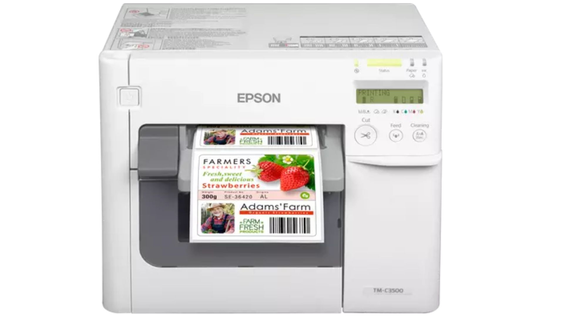 epson c3500