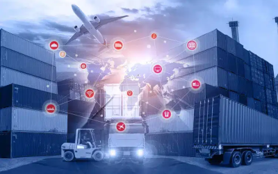 Un passo nel futuro: supply chain native digitali